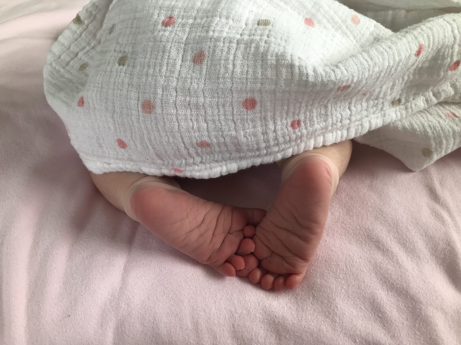 Newborn feet on a dotted blanket